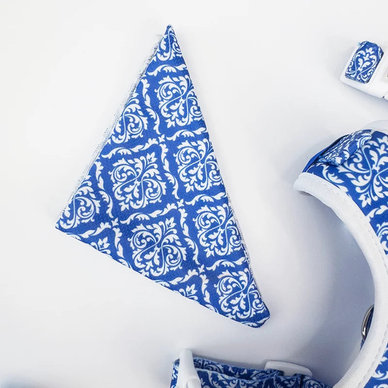 Blue Majesty Rutka