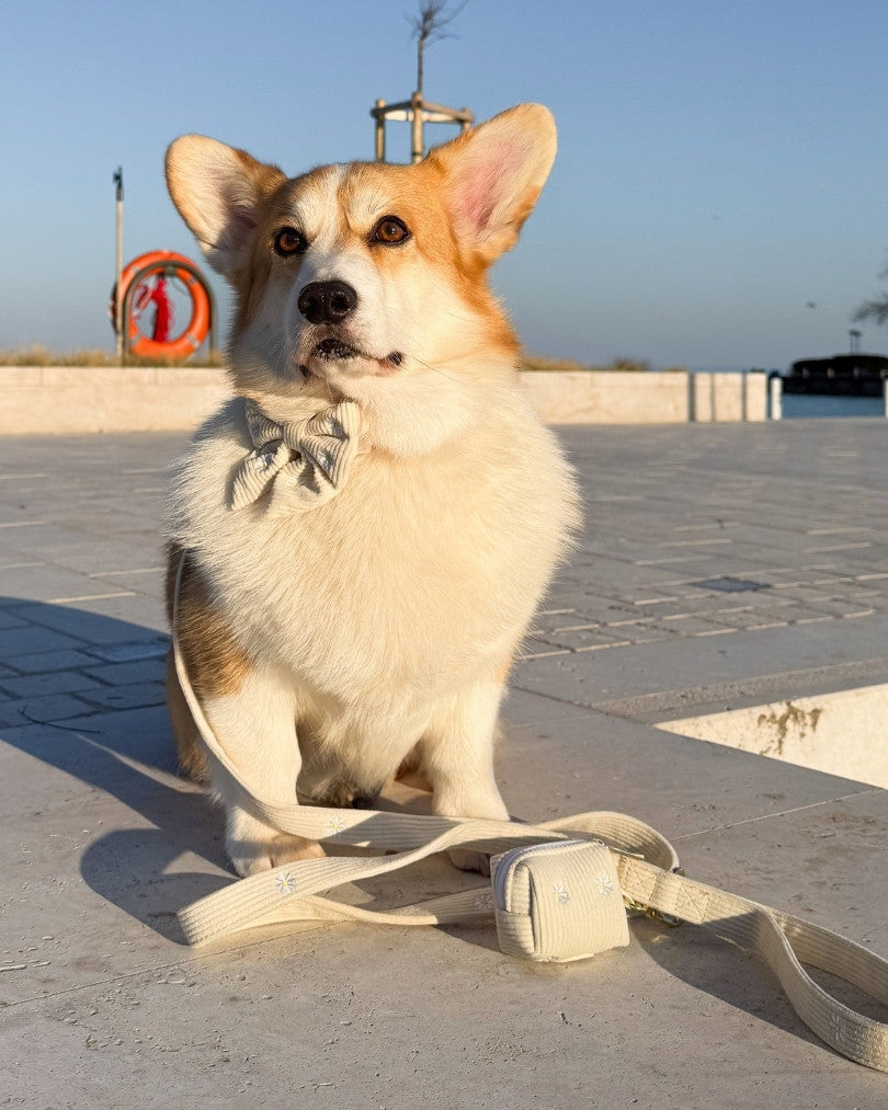 Komplet NA SPREHOD (Povodec + Ovratnica + Torbica) Sunny Bloom