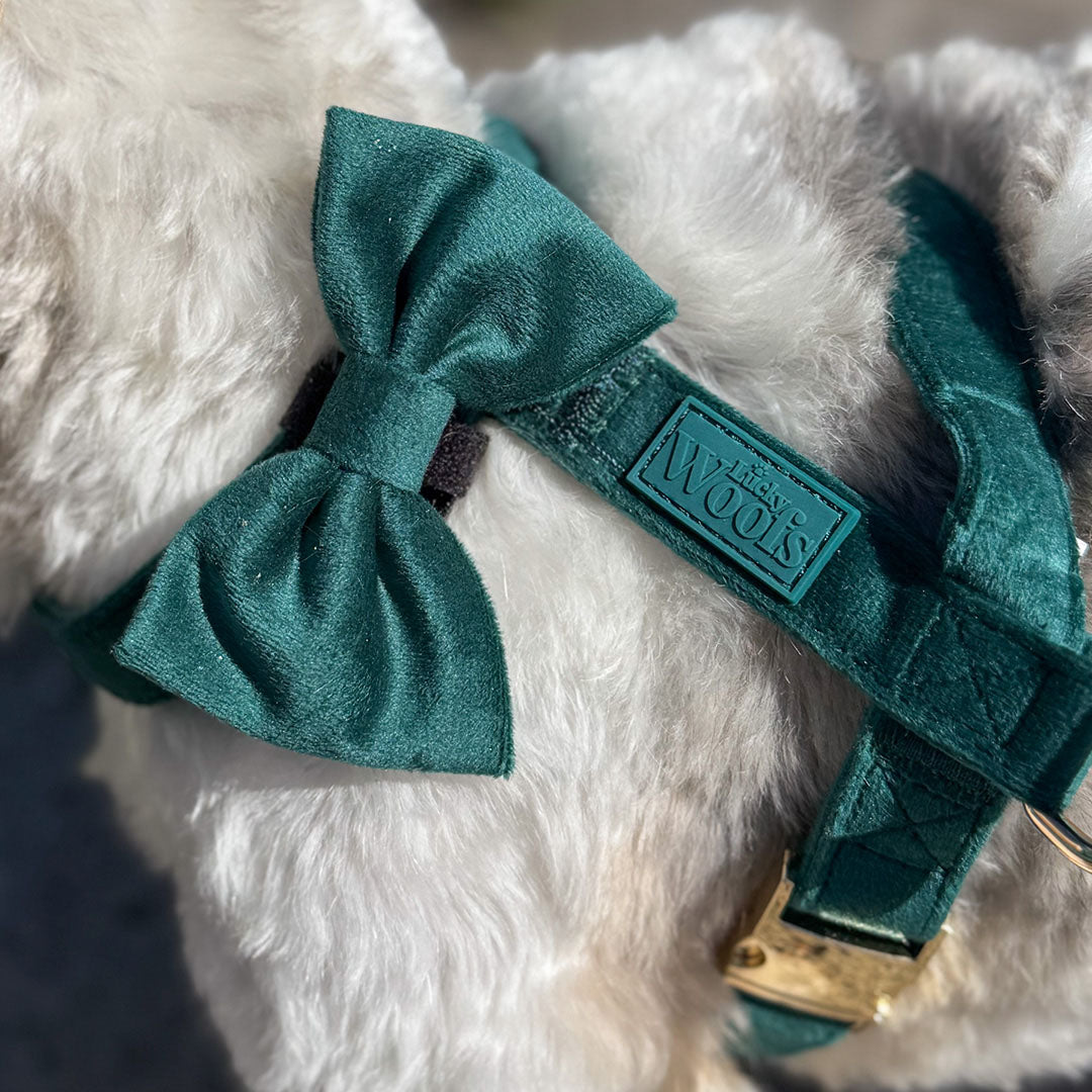 Mašnica Emerald