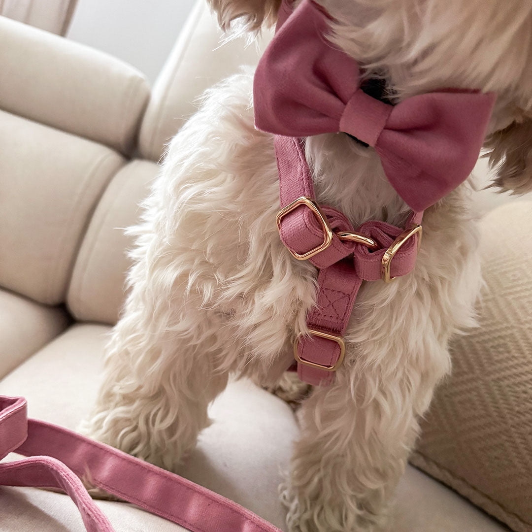 Nastavljiva Oprsnica Rosé