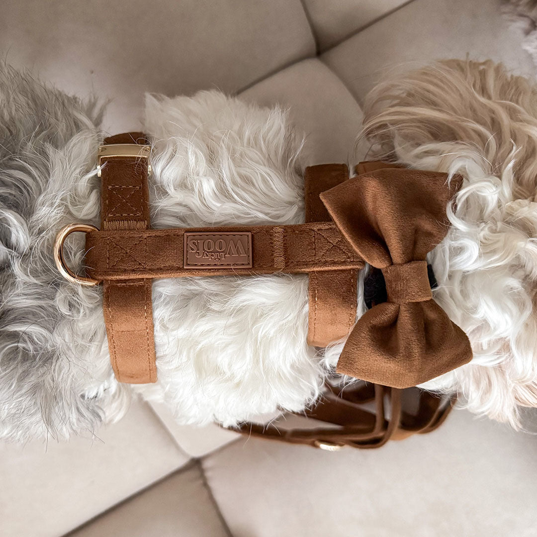 Nastavljiva Oprsnica Caramel