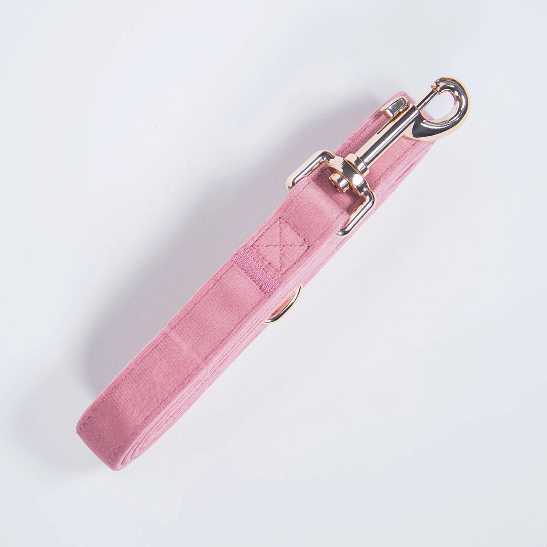 Povodec Rosé
