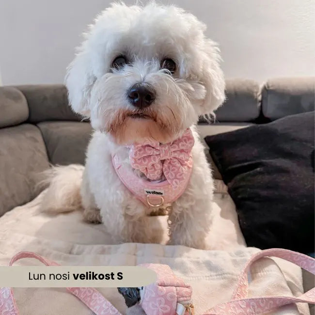 Blush Blossom Premium Nastavljiva Oprsnica