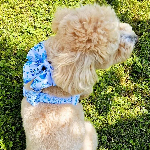 Nastavljiva Oprsnica Bright Charm