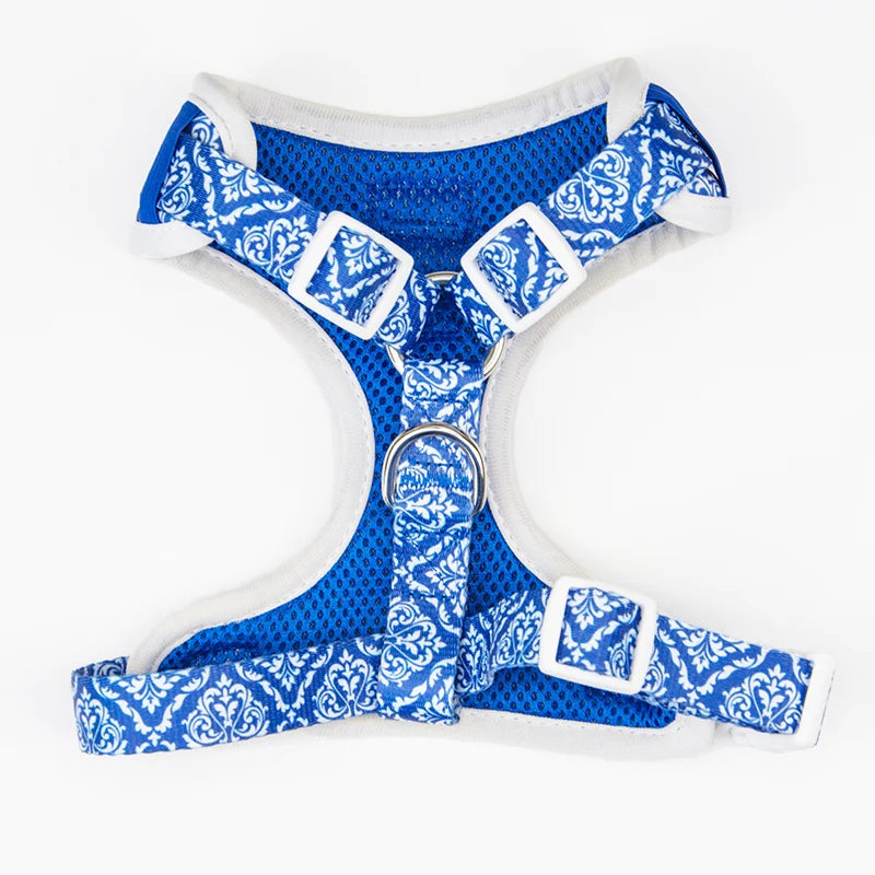 Blue Majesty Adjustable Harness