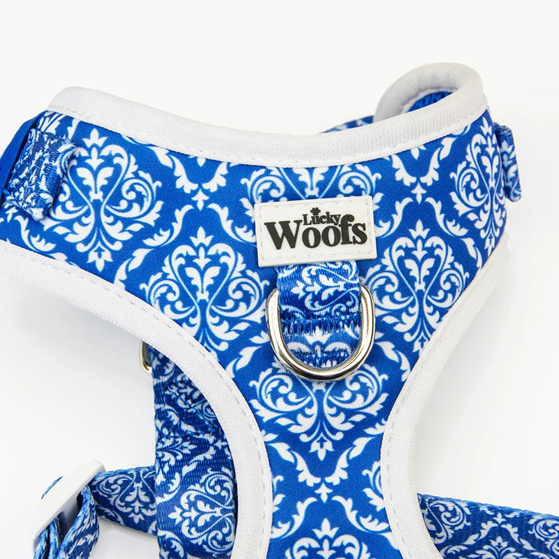 Blue Majesty Adjustable Harness