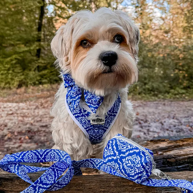 Blue Majesty Bowtie