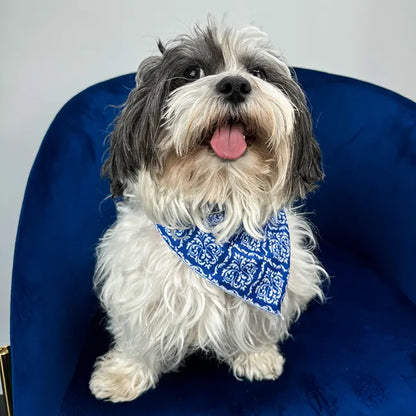 Blue Majesty Bandana