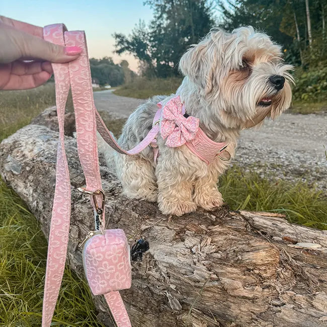 Blush Blossom Premium Leash