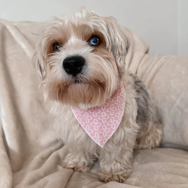 Blush Blossom Premium Bandana