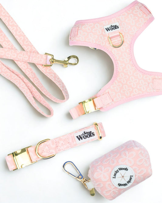 Komplet PASJA AVANTURA (Oprsnica + Povodec + Ovratnica + Torbica) Blush Blossom Premium