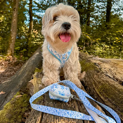 Bright Charm Leash