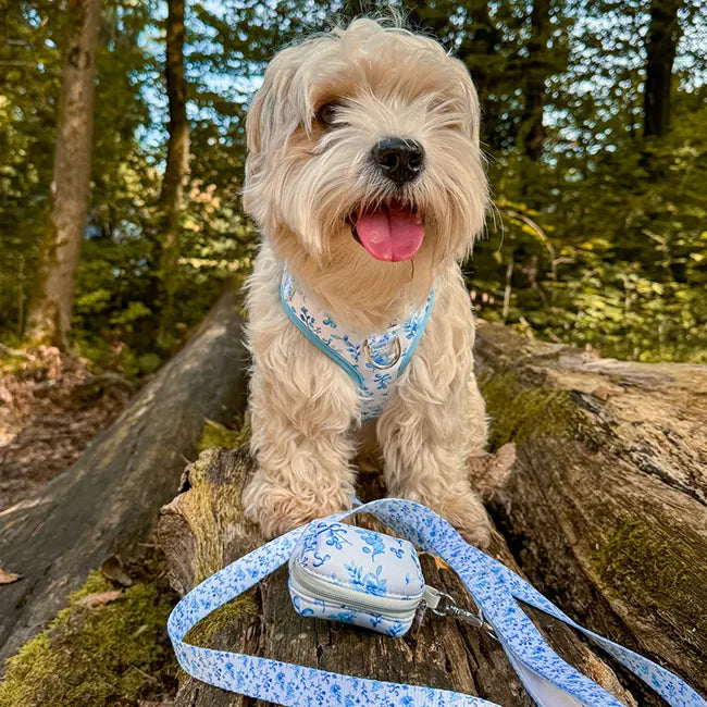 Bright Charm Poop Bag