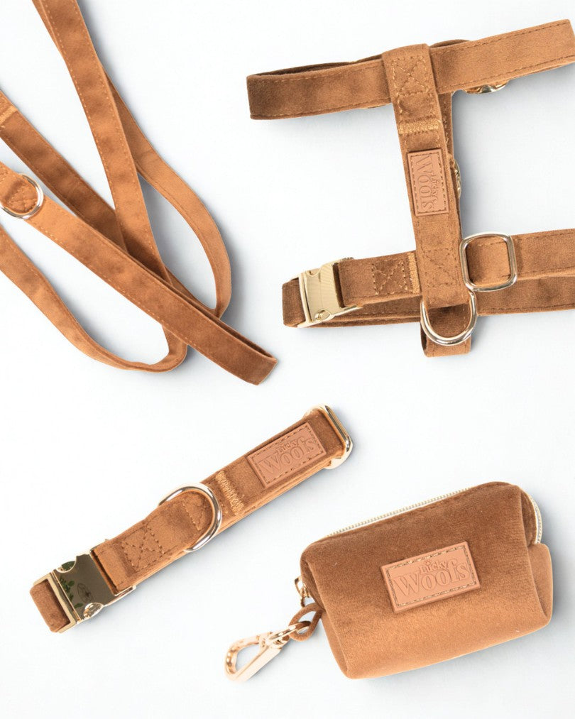 Komplet PASJA AVANTURA (Oprsnica + Povodec + Ovratnica + Torbica) Caramel