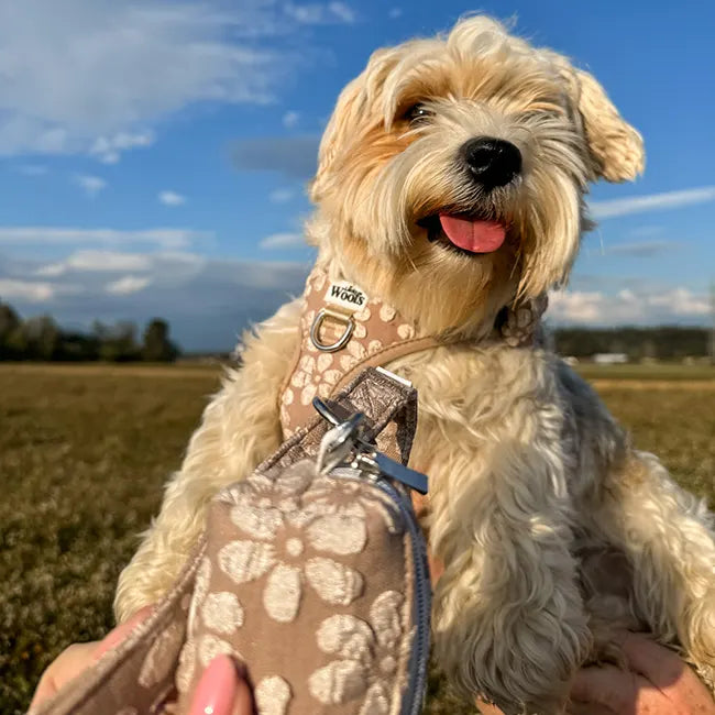 Cocoa Bloom Deluxe Poop Bag