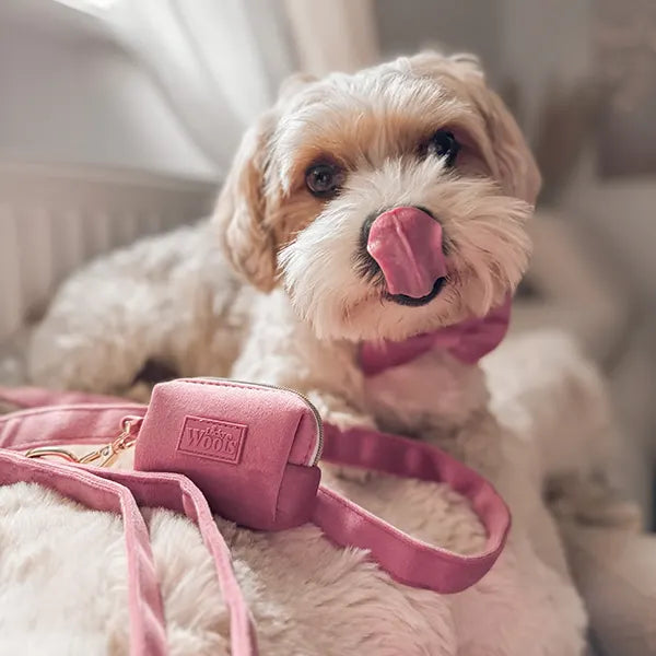 Nastavljiva Oprsnica Rosé