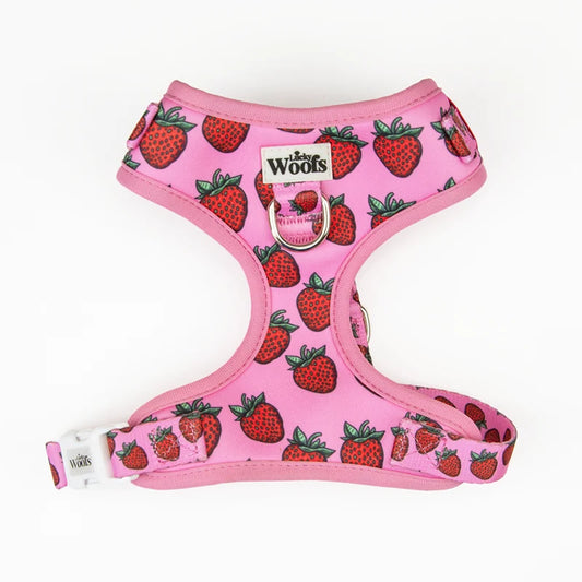 Strawberry Bliss Adjustable Harness