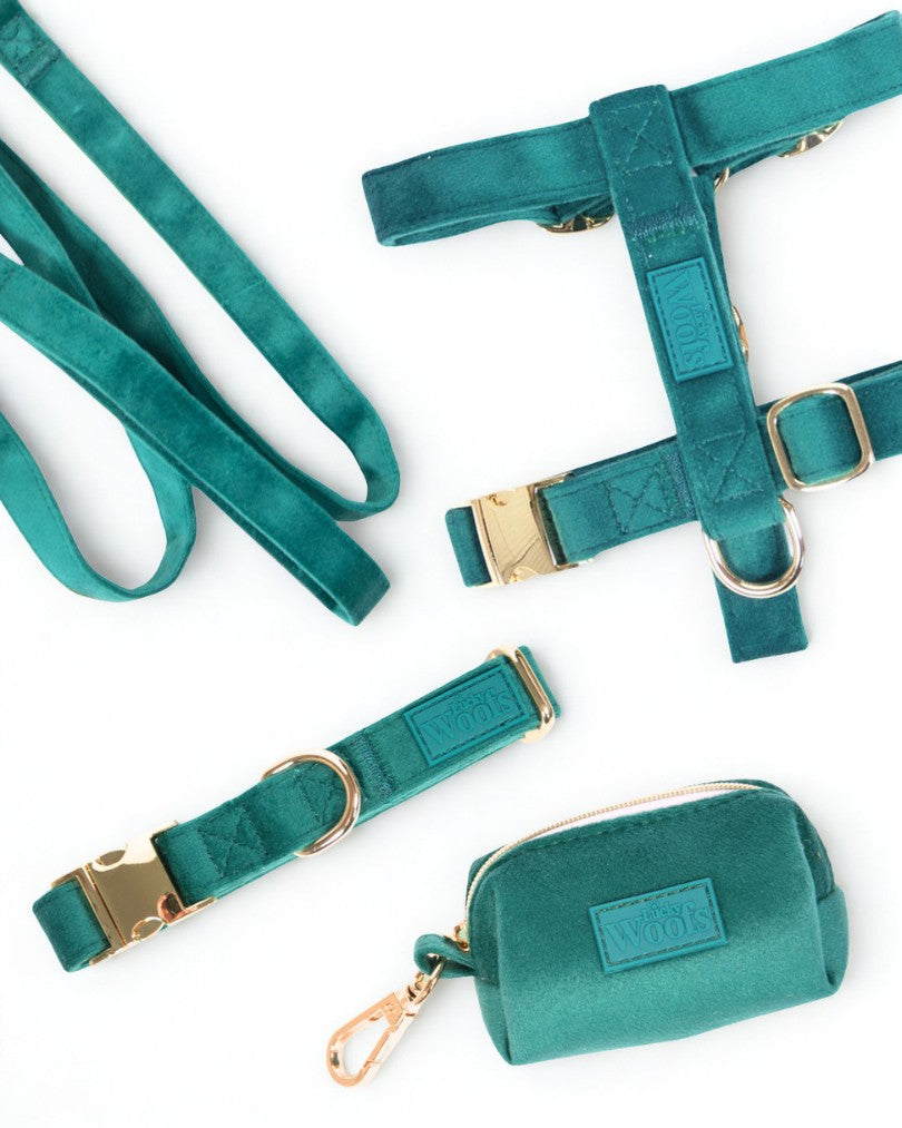 Komplet PASJA AVANTURA (Oprsnica + Povodec + Ovratnica + Torbica) Emerald