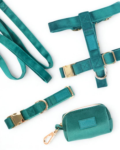 Komplet PASJA AVANTURA (Oprsnica + Povodec + Ovratnica + Torbica) Emerald
