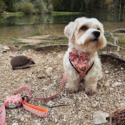 Hedgehog Hug Leash