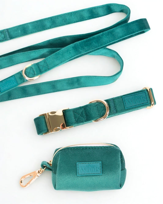 Komplet NA SPREHOD (Povodec + Ovratnica + Torbica) Emerald