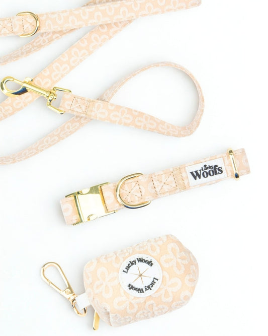 Komplet NA SPREHOD (Povodec + Ovratnica + Torbica) Golden Blossom Premium