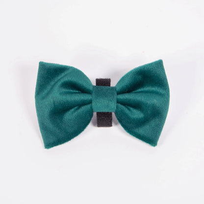 Mašnica Emerald