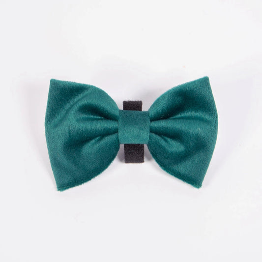 Mašnica Emerald