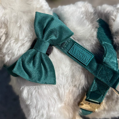 Mašnica Emerald