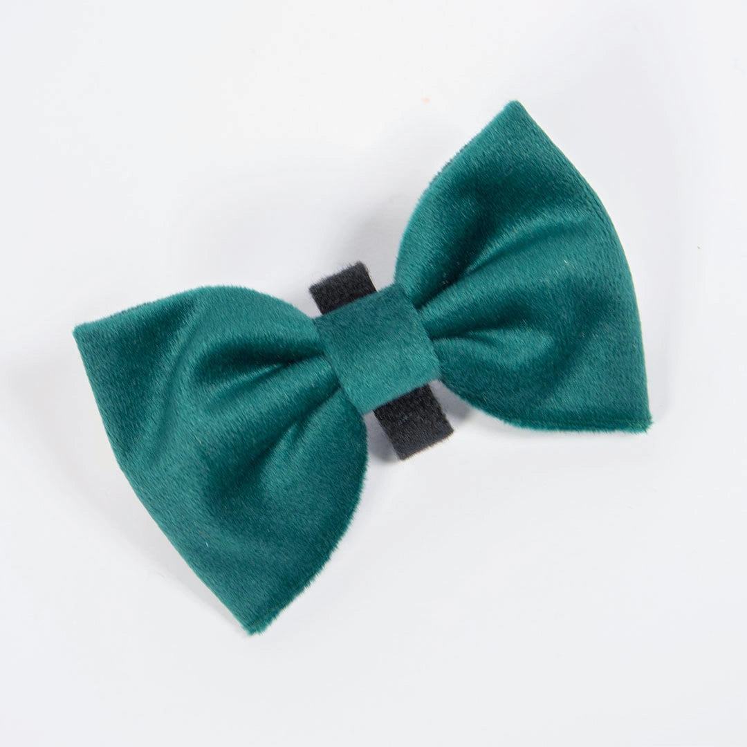 Mašnica Emerald