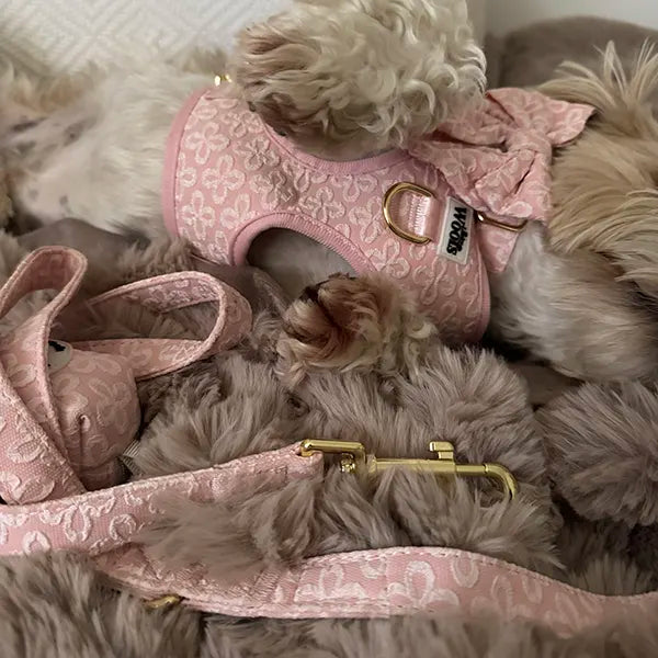 Nastavljiva Oprsnica Blush Blossom Premium