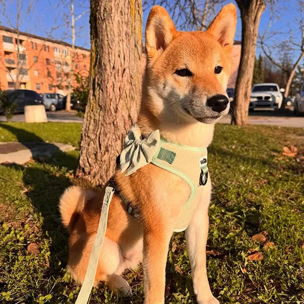 Mašnica Enchanting Hearts Deluxe