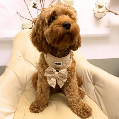 Nastavljiva Oprsnica Golden Blossom Premium