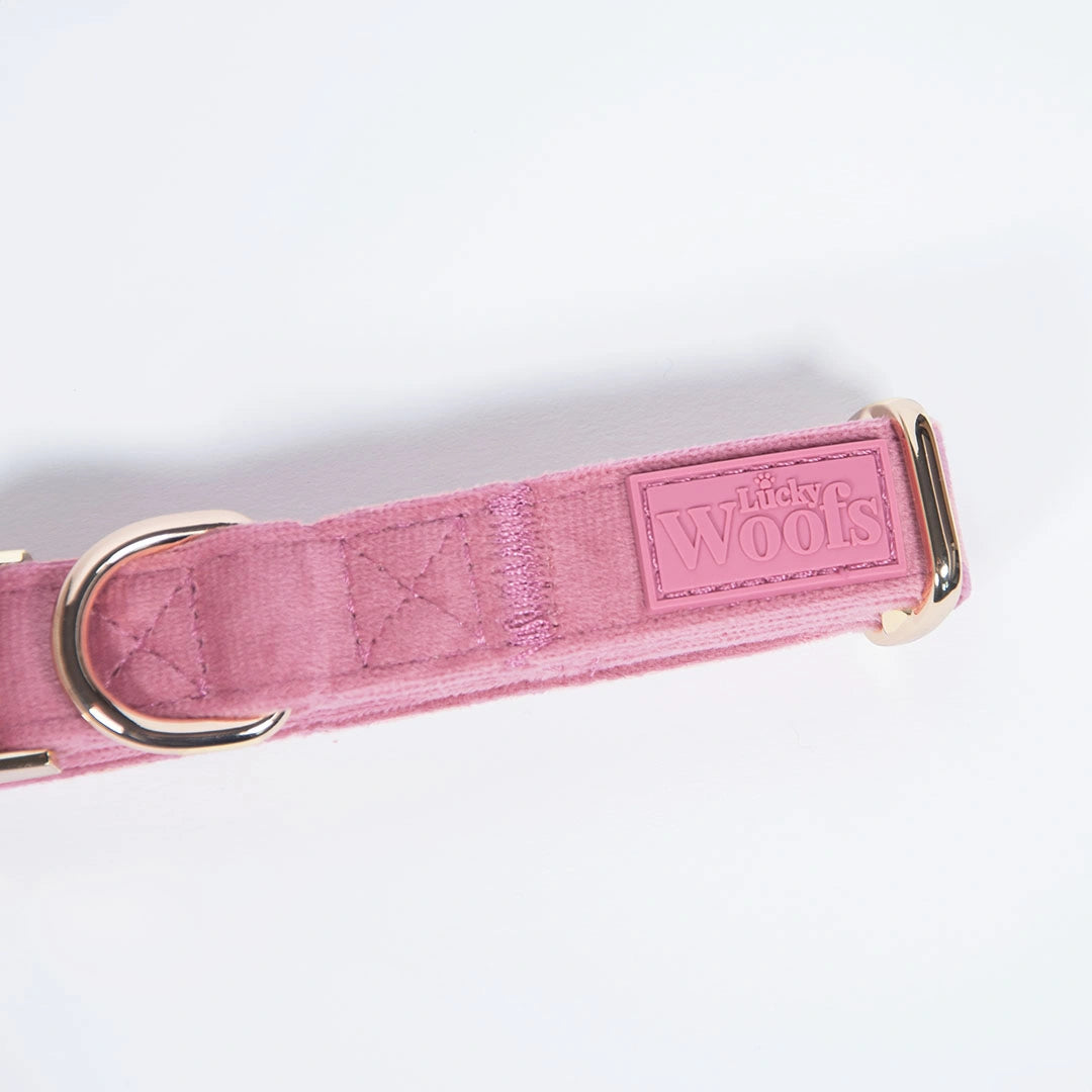 Nastavljiva Ovratnica Rosé