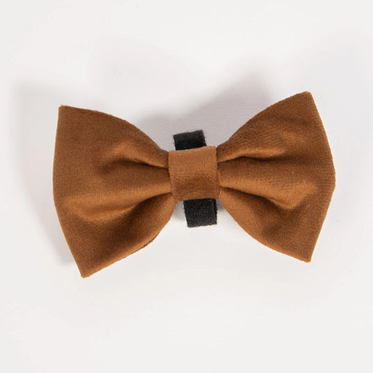 Mašnica Caramel