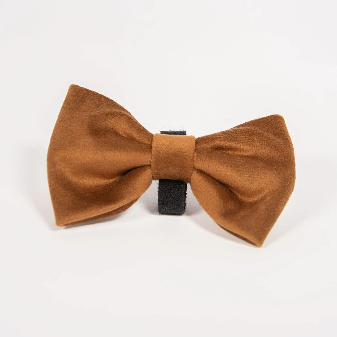 Mašnica Caramel