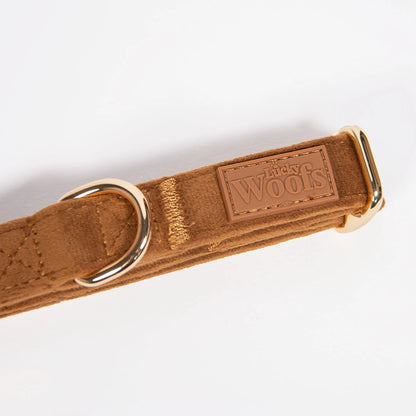 Nastavljiva Ovratnica Caramel