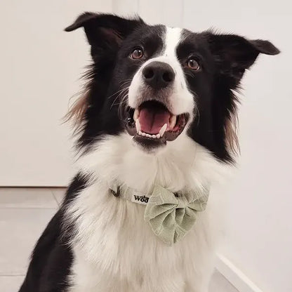 Mašnica Enchanting Hearts Deluxe