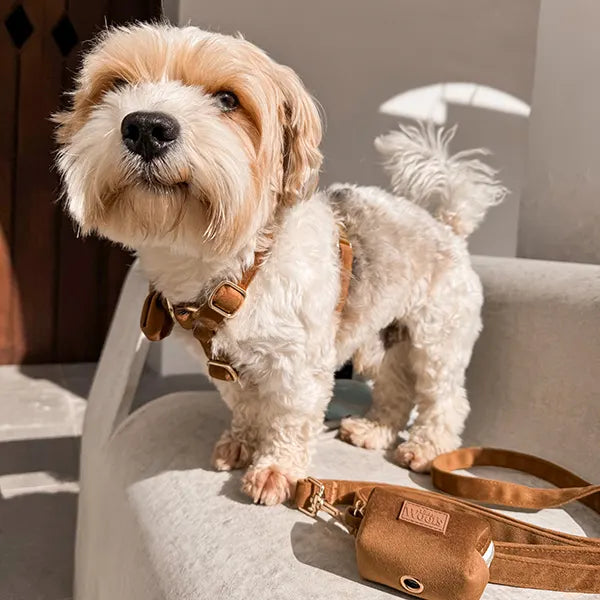 Torbica Za Vrečke Caramel