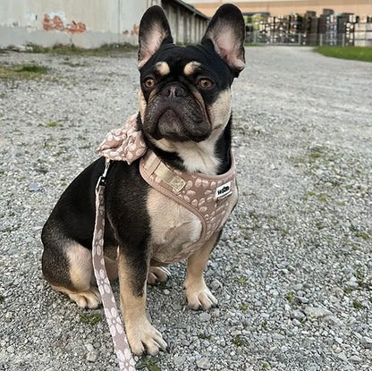 Povodec Cocoa Bloom Deluxe