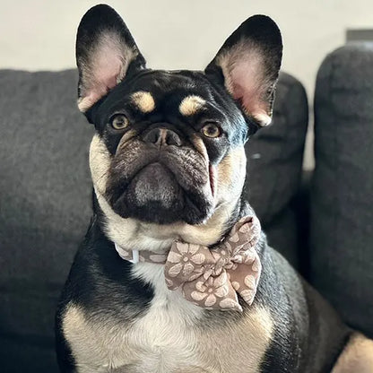 Mašnica Cocoa Bloom Deluxe