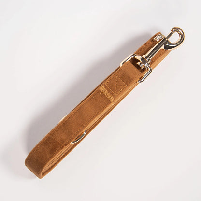 Povodec Caramel