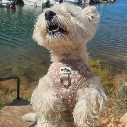 Nastavljiva Oprsnica Cocoa Bloom Deluxe