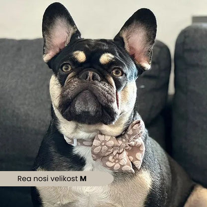 Nastavljiva Ovratnica Cocoa Bloom Deluxe