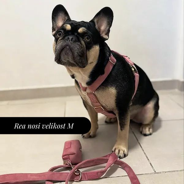 Nastavljiva Oprsnica Rosé