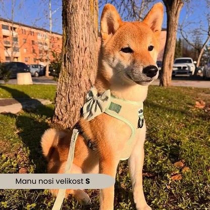 Nastavljiva Oprsnica Enchanting Hearts Deluxe