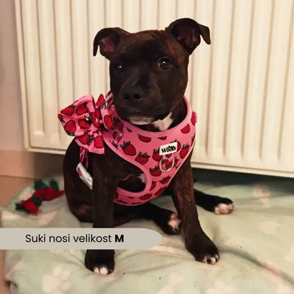 Nastavljiva Oprsnica Strawberry Bliss