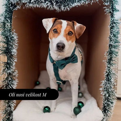 Nastavljiva Oprsnica Emerald