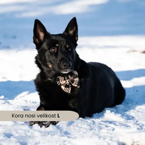 Nastavljiva Ovratnica Fluffy Elite Fatal