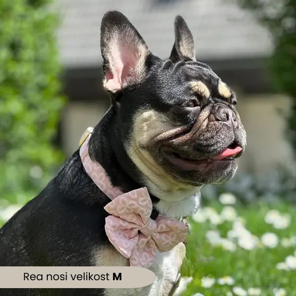 Nastavljiva Ovratnica Blush Blossom Premium